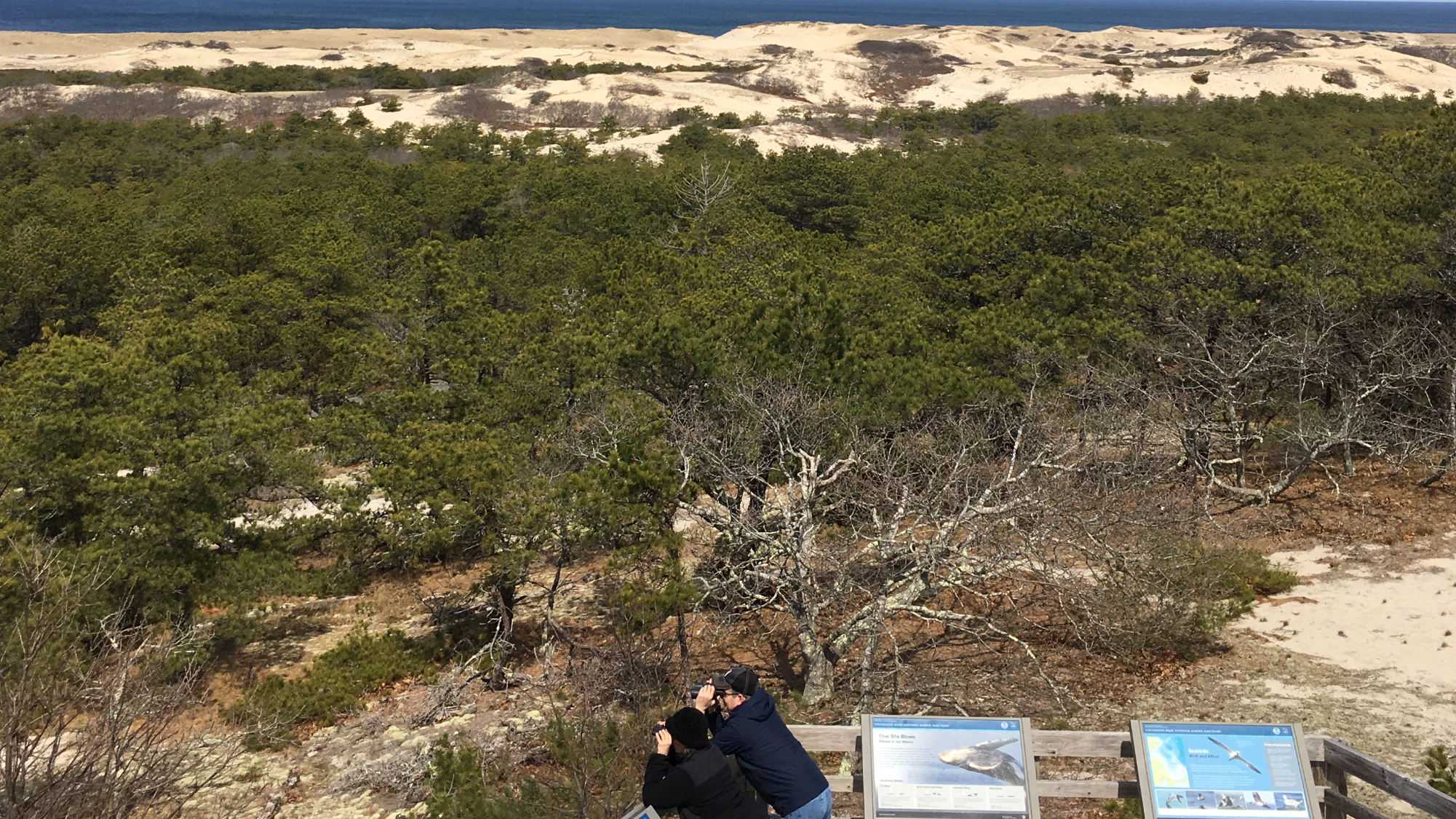 The View From Province Lands