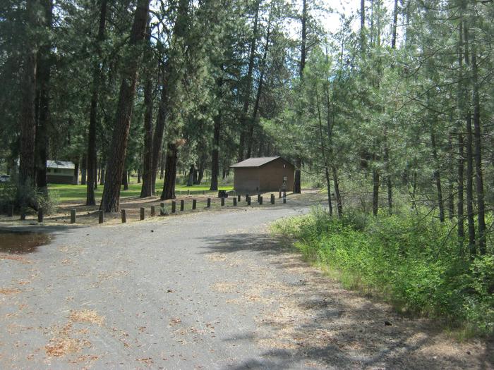 Site 63, Back in Back in Accessible site with trees and comfort station in background