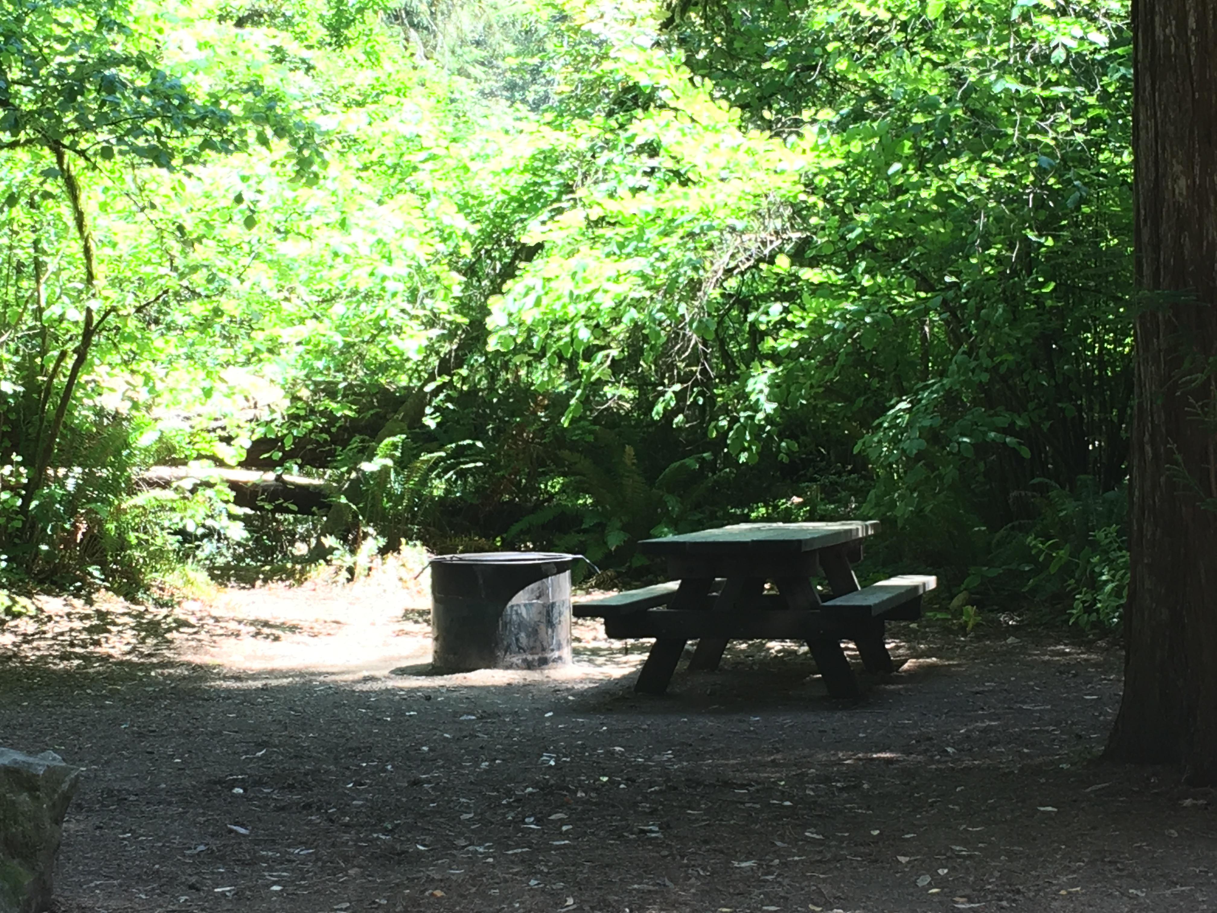 Jedediah Smith Campground