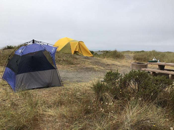 Tents at Gold Bluffs Beach campgroundGold Bluffs Beach campsites are all exposed to fog and strong winds.