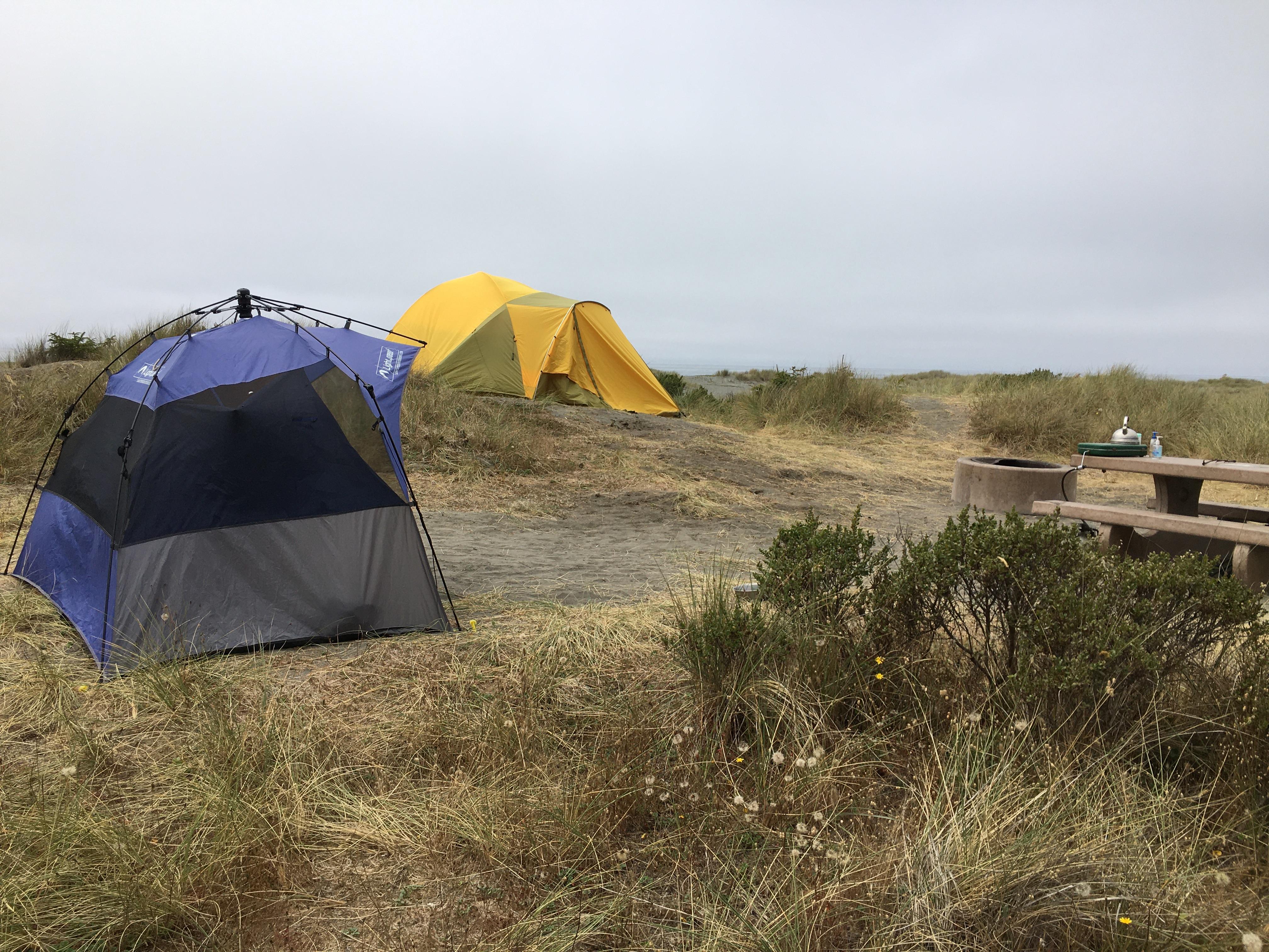 Gold Bluffs Beach Campground