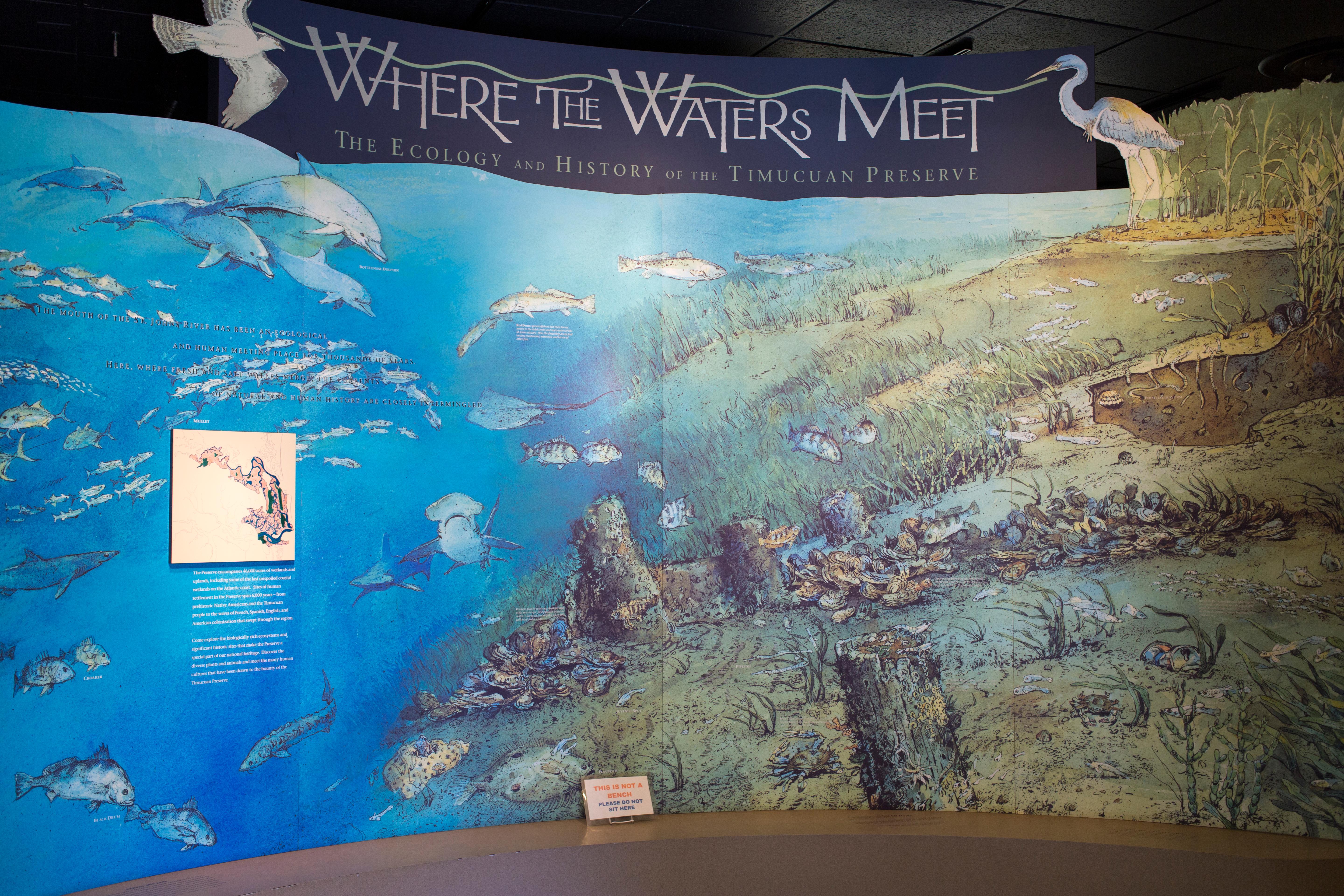Where the Water Meet