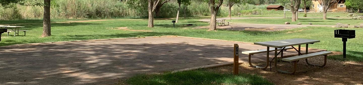 A paved driveway. Facing the end of the driveway, a picnic table and grill are to the right side. There are a few trees in the backgrounds. Site 28, Loop B in summer.
Paved Dimensions: 30' x 30'