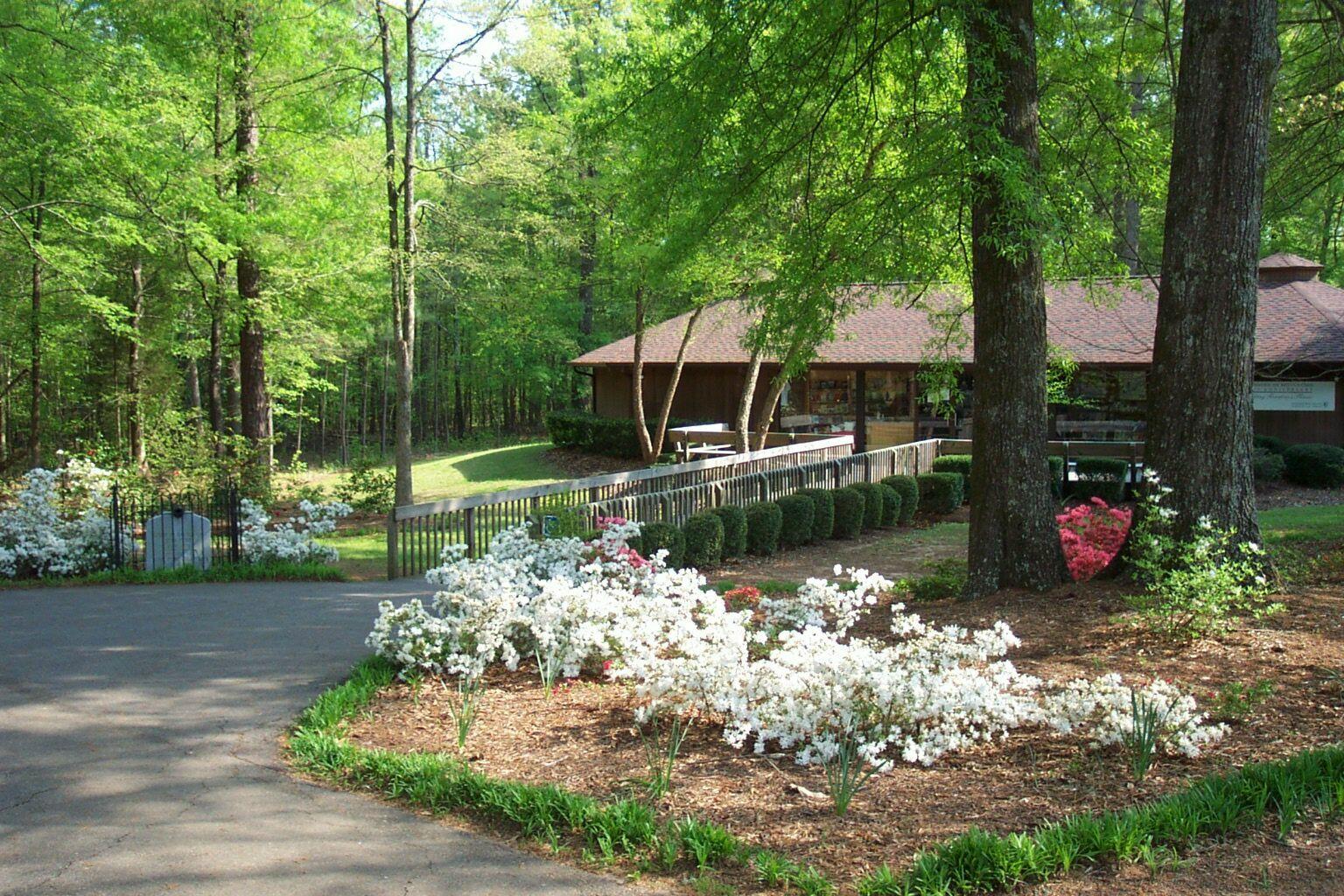Sumter NF Long Cane Dispersed — Sumter National Forest, Greenwood SC dispersed campsite