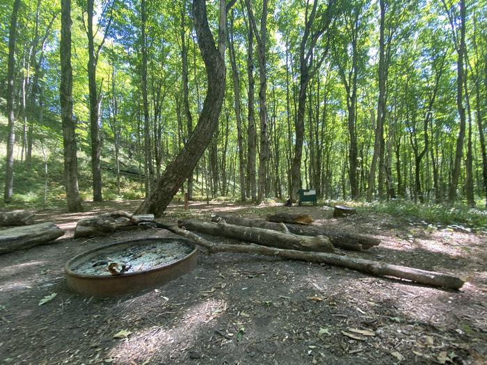 Fire pit and food storage