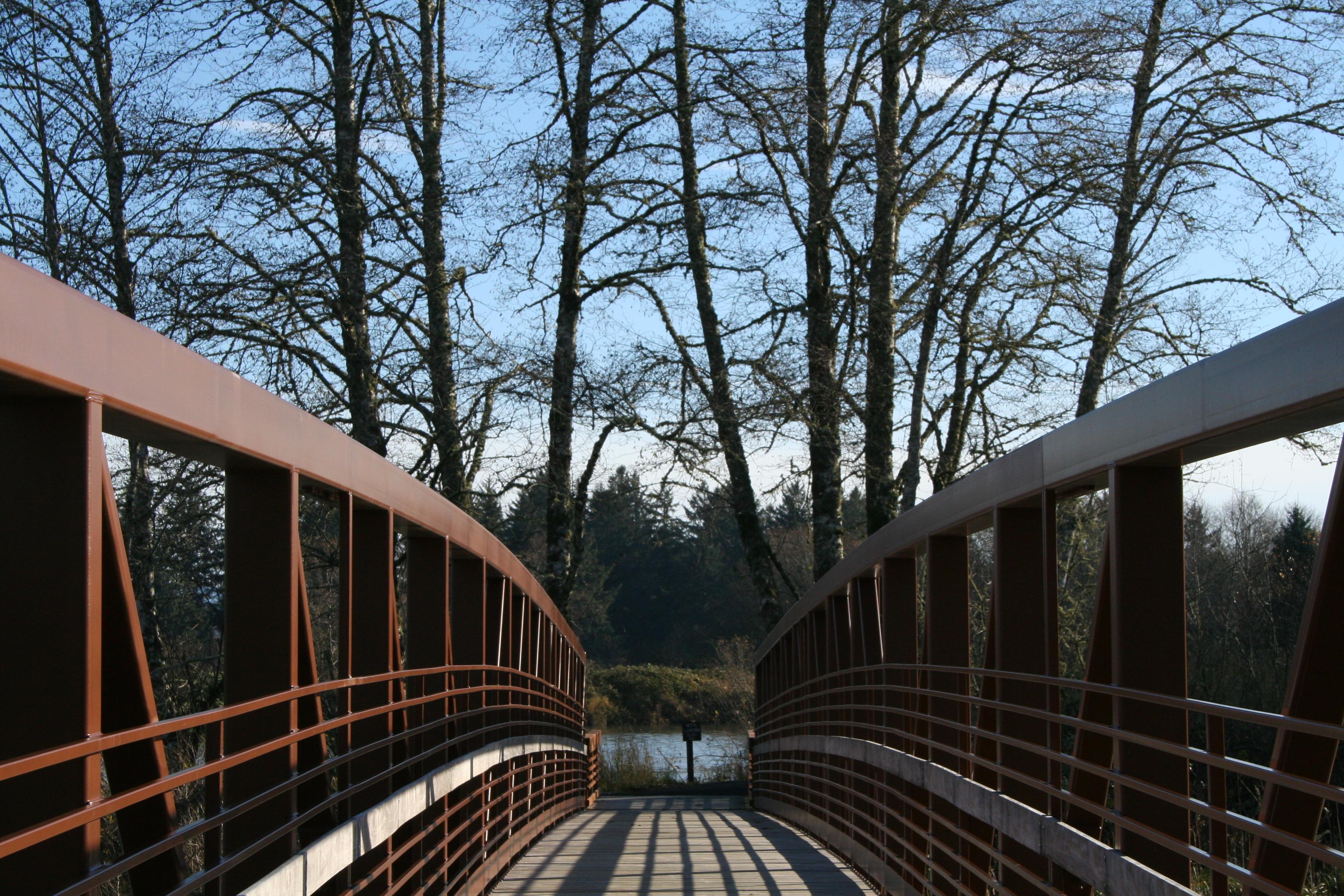 Netul River Trail Bridge