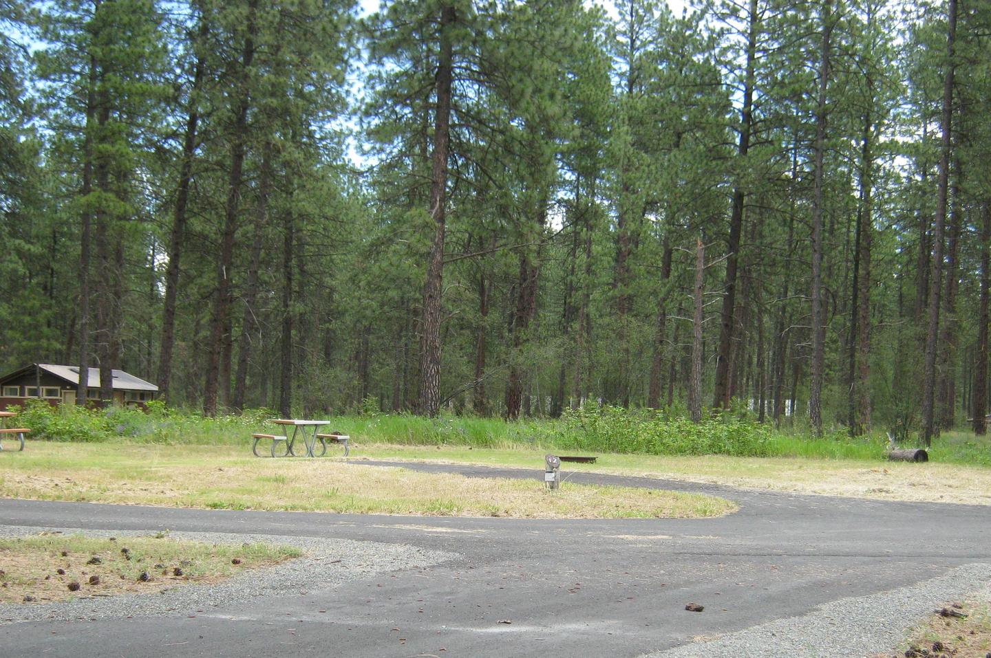 Site 12, Back inSite 12, Back in, Trees and comfort station in background