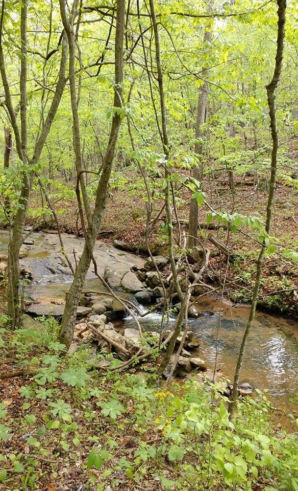 Jack-O-Lantern Branch Trail creek