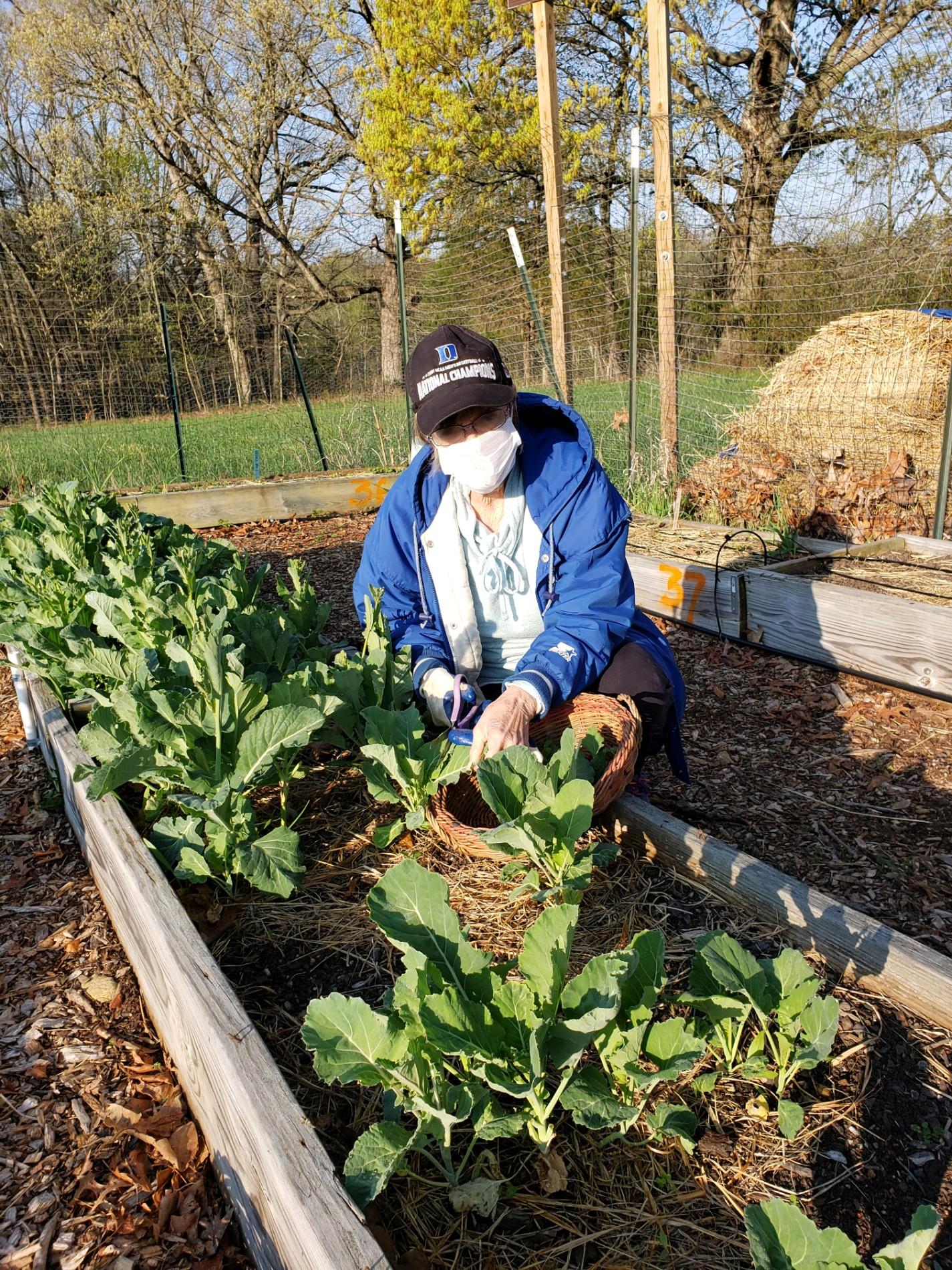 Gardener in giving garden