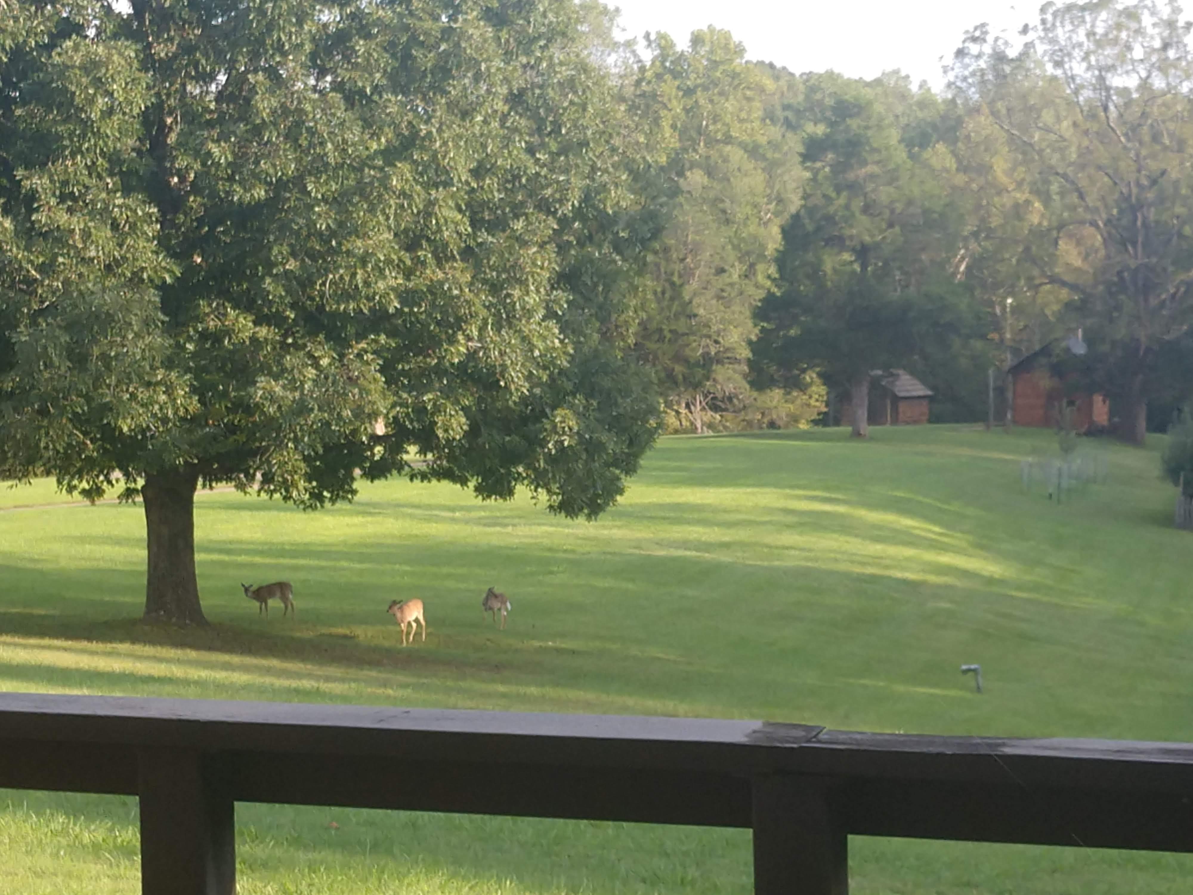 View of Historic Area from Visitor Center Back Porch