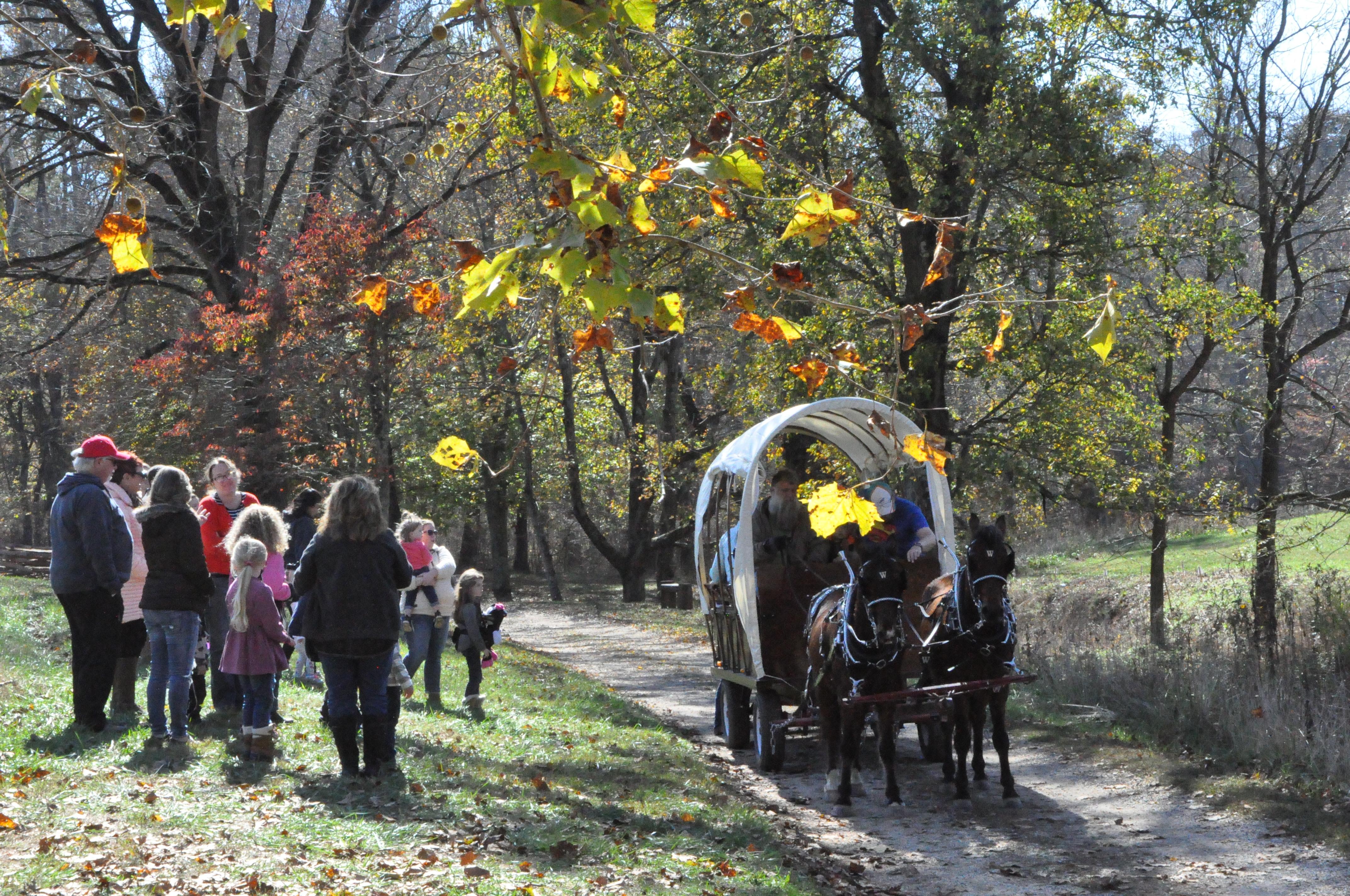 Harvest Time Festival Wagon Ride