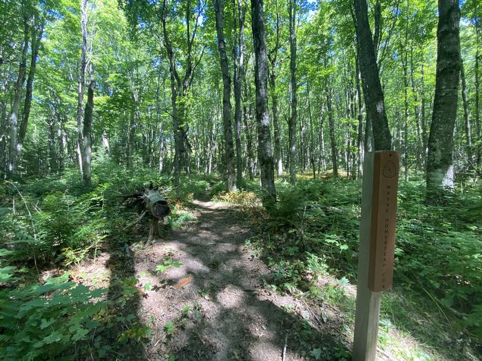 Trail and sign to campground