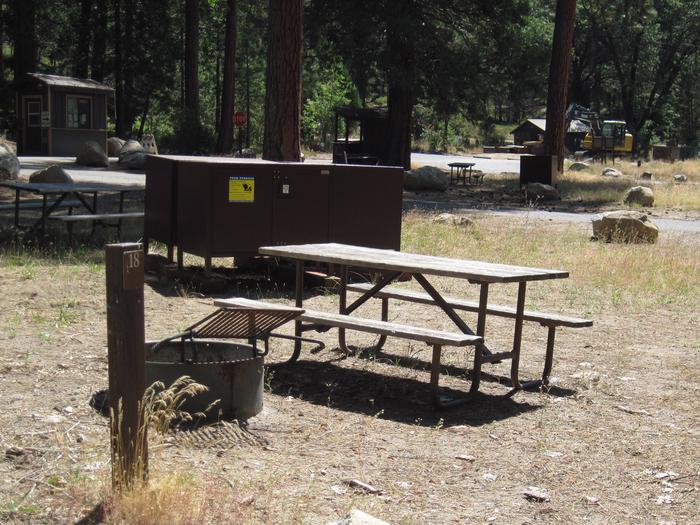 Food locker, picnic table, and fire ringSite 18