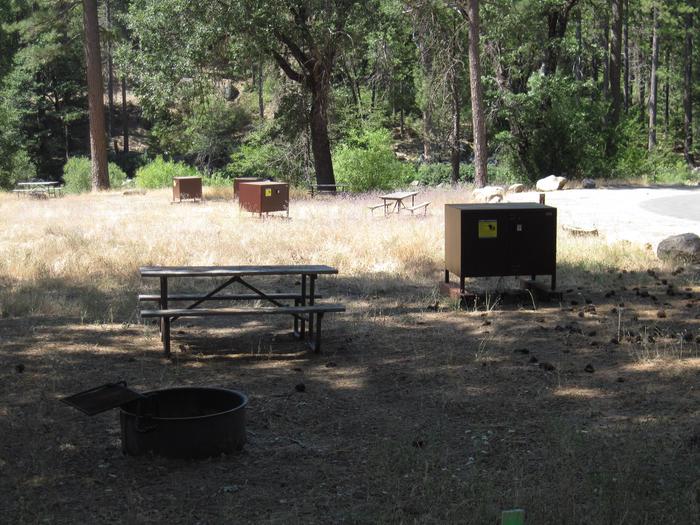 Food locker, picnic table, and fire ringSite 13