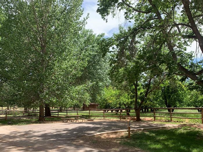 A paved driveway. Facing the end of the driveway, a picnic table and fire pit, and large tree are to the left. A tree is directly behind the site, and a fence behind the tree spanning across the image. There are many trees in the background and a small building.Site 31, Loop B in summer.
Paved Dimensions: 27' x 28'