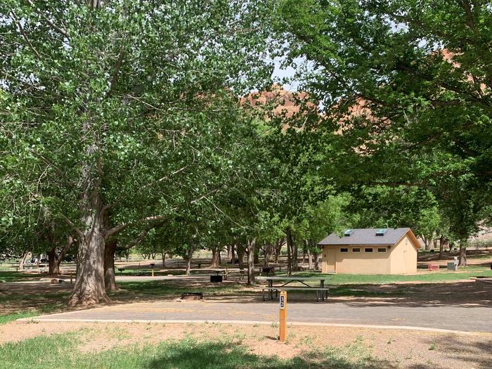 A paved driveway. Facing the end of the driveway, a picnic table and fire pit are to the right. A large tree is directly behind the site. A small building and many trees are in the background. Red cliffs peek through the trees.Site 32, Loop B in summer.
Paved Dimensions: 14' x 36'