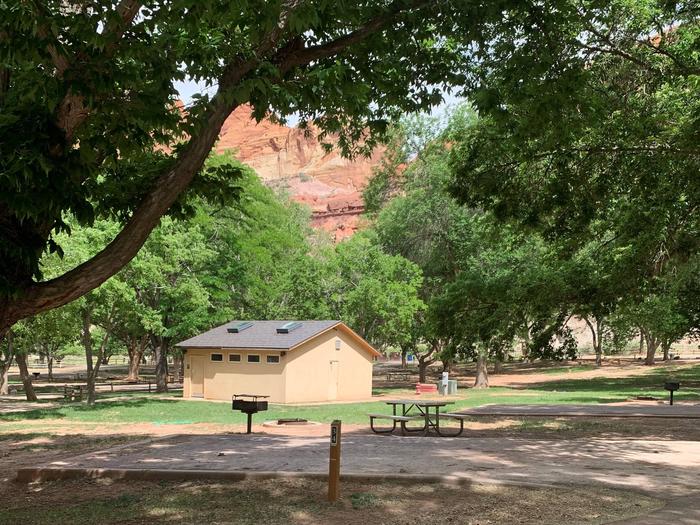 A paved driveway. Facing the end of the driveway, a picnic table, grill, and fire pit are to the left. A tree limb is in the foreground of the image. A small building is behind the fire pit. Many trees are in the background and a red cliff rises above the trees.Site 34, Loop B
Paved Dimensions: 14' x 28'