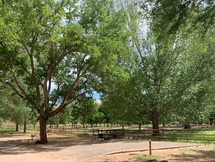 A paved driveway. Facing the end of the driveway, a picnic table, grill, and fire pit are to the left. A large tree is behind them. A fence is directly behind the driveway and spans the image. There are many trees in the background.Site 36, Loop B in summer.
Paved Dimensions: 27' x 29'