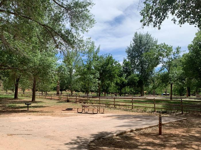 A paved driveway. Facing the end of the driveway, a picnic table, fire pit, and grill are to the left. A fence is directly behind the driveway and spans the length of the image. A few trees are in the background.Site 38, Loop B in summer.
Paved Dimensions: 29 x 30