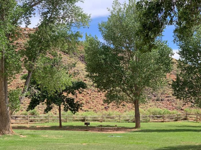 A picnic table, fire pit, and grill are in the center of the image on a patch of dirt. The area is surrounded by grass. A small tree is immediately to the left and a larger tree immediately to the right. Red-colored hills are in the background.Site 45, Loop B in summer.
Walk-in Tent Site.