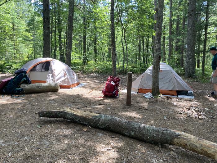 Site 3Beaver Creek Campground