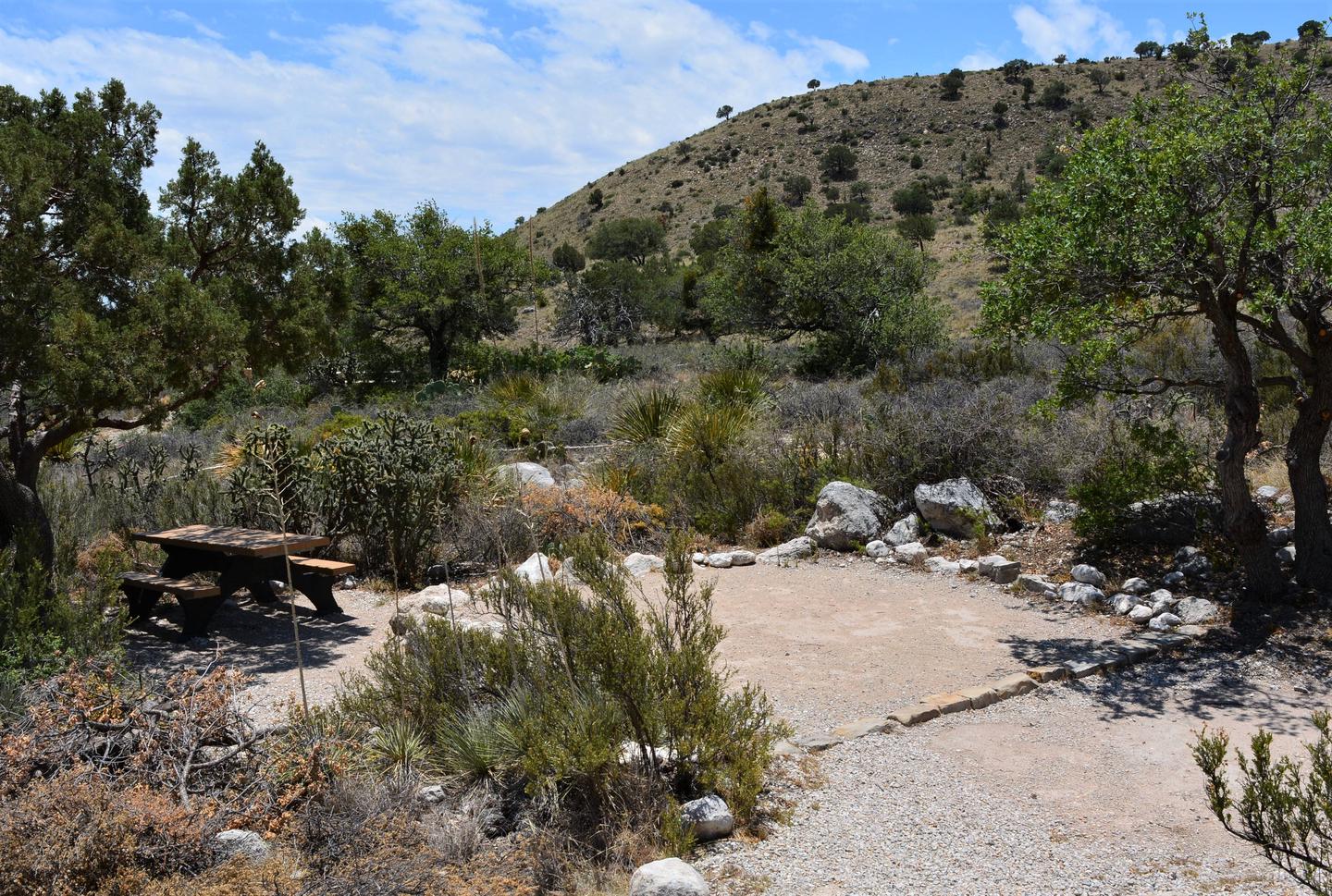 Tent campsite number six shown with desert vegetation and view of hillside in the background.Tent campsite number six shown with desert vegetation and view of hillside to the SW of site.
