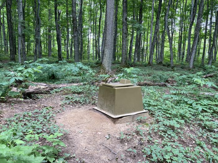 A pit toilet in the middle of the woods with no enclosure.The pit toilet at Cliffs Group.