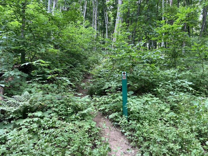 A small green pole with a sign for restrooms.The path towards the pit toilet at Cliffs Group.