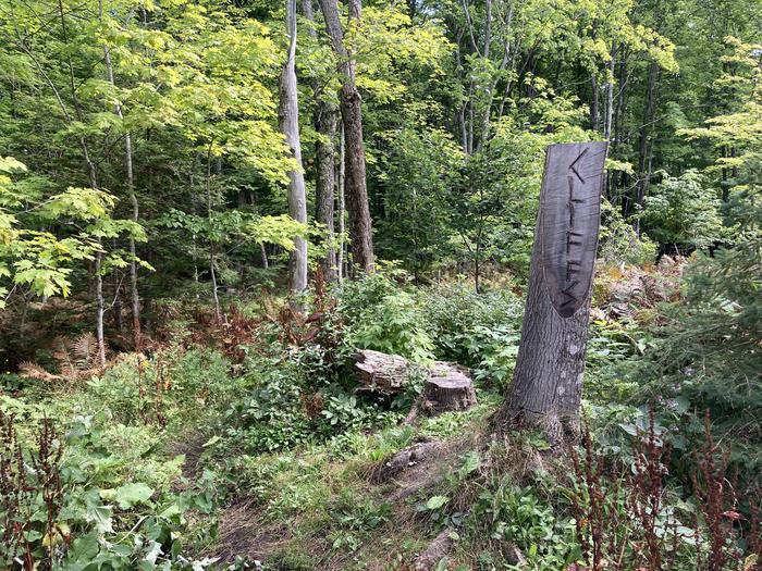 A tree stump in the woods with the word Cliffs carved into it.