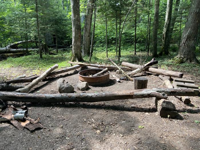 A fire ring in a rustic campground with logs around for sitting.