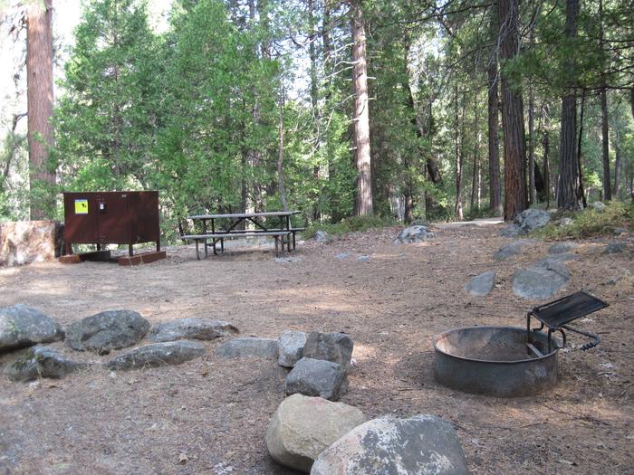 Food locker, picnic table, and fire ringSite 31