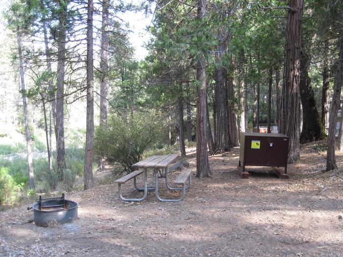 Food locker, picnic table, and fire ringSite 34