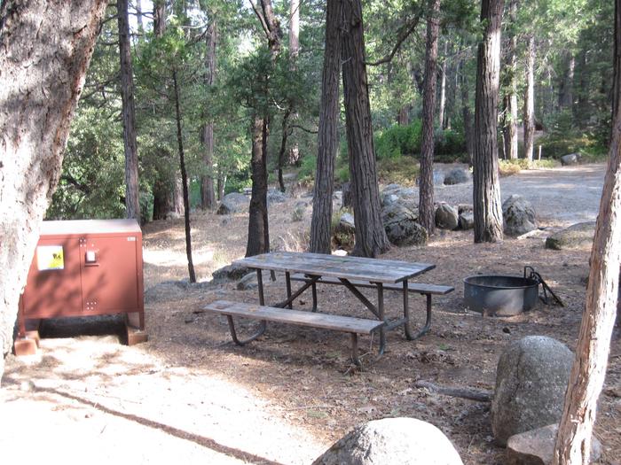 Food locker, picnic table, and fire ringSite 35