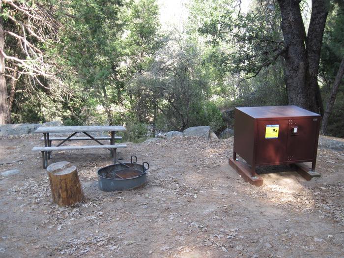 Food locker, picnic table, and fire ringSite 40