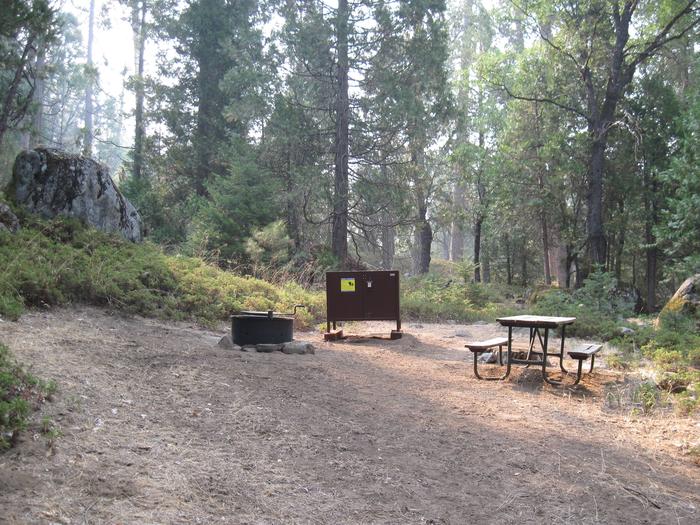 Food locker, picnic table, and fire ringSite 42