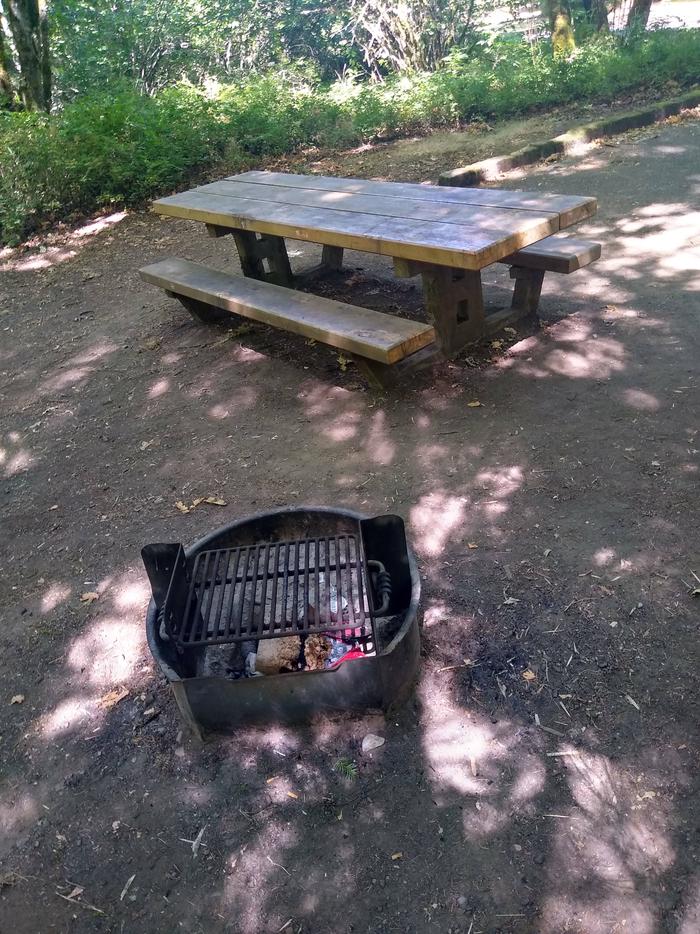 Site #1-Table and FirepitSite #1-Wyeth Campground