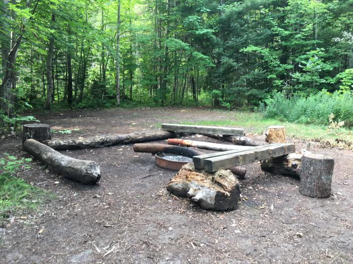 Fire ring with log benches
