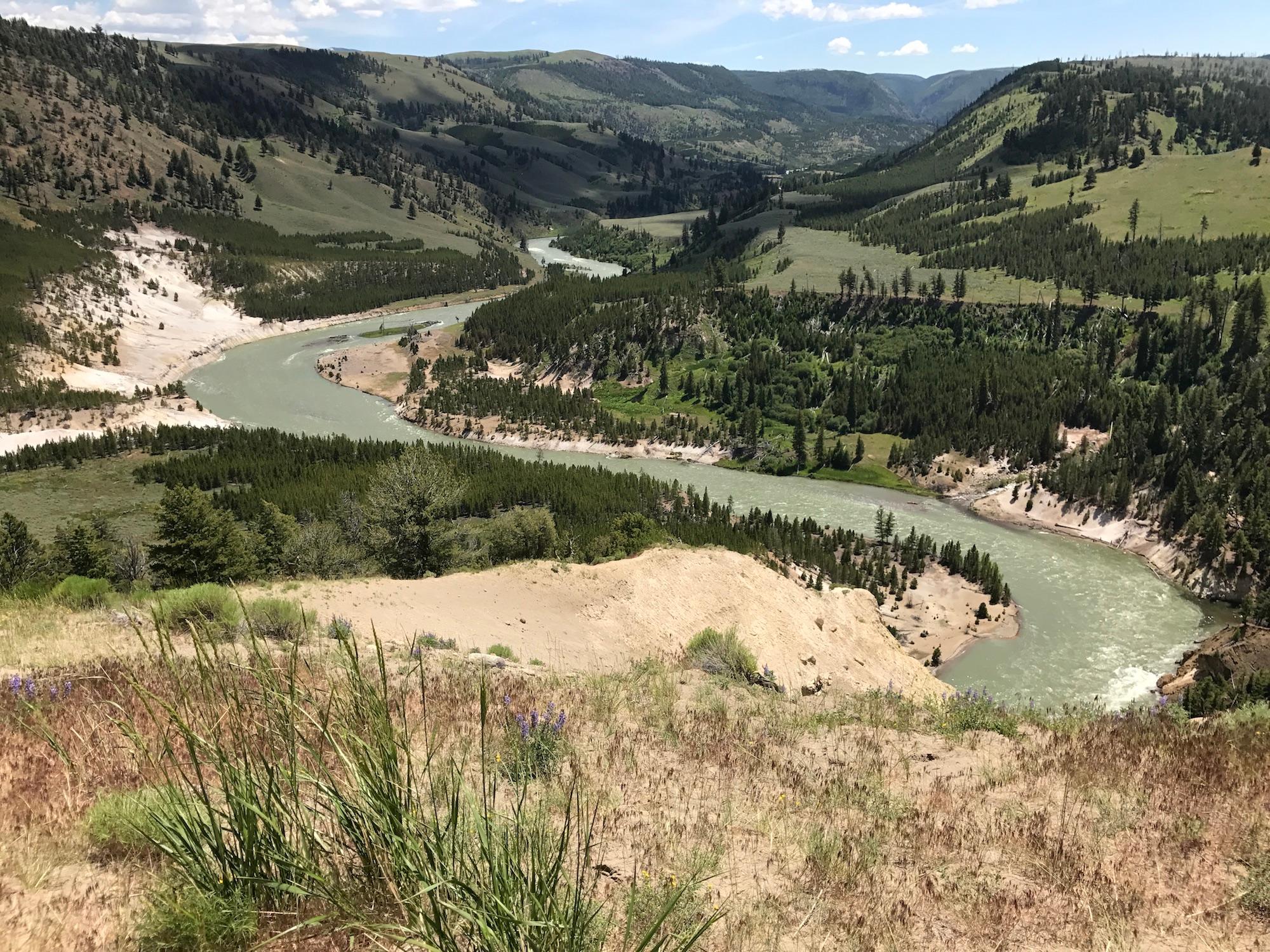 Yellowstone River