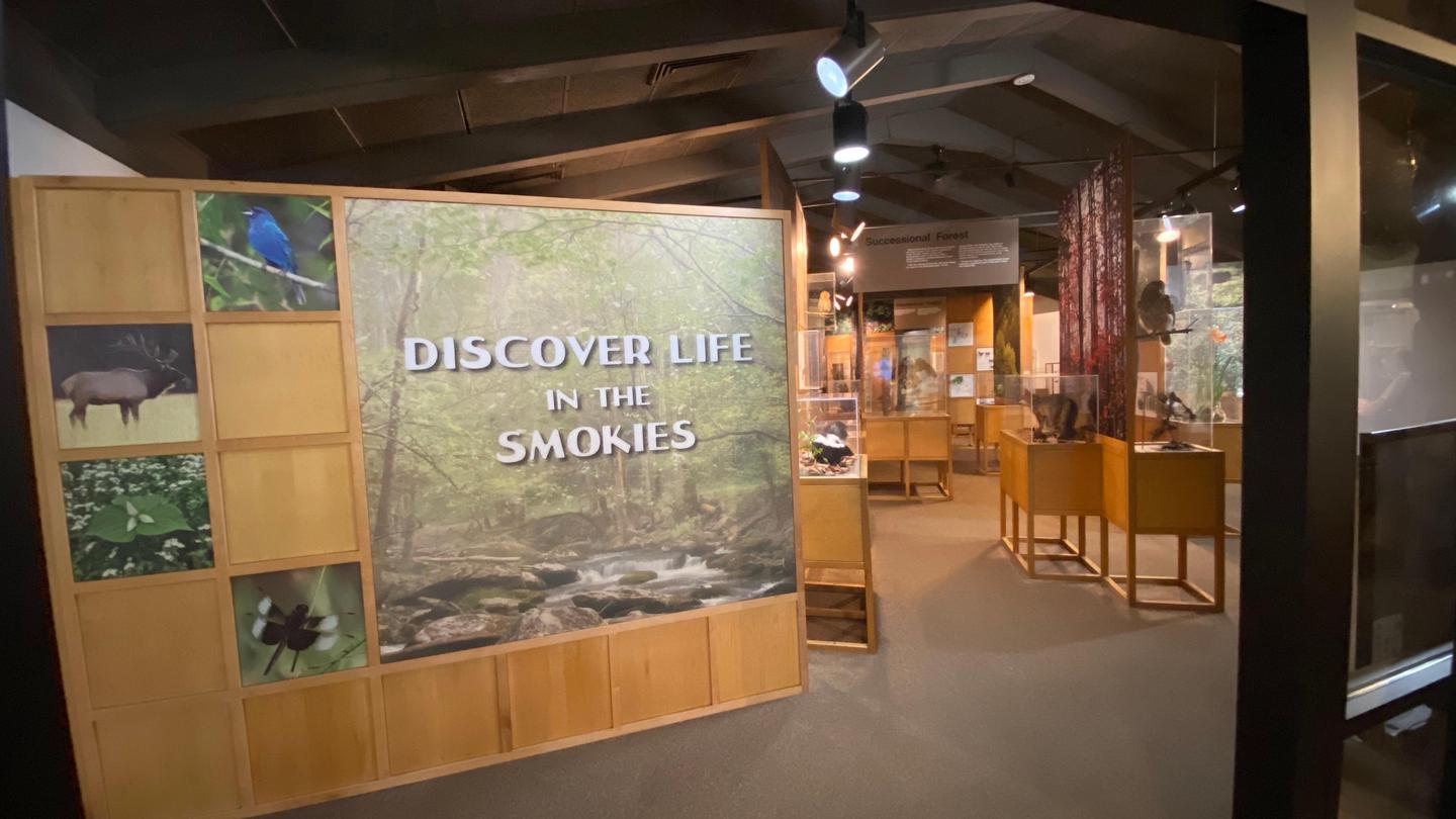 Sugarlands Visitor Center MuseumMillions have visited Sugarlands Visitor Center to view "Discover Life in the Smokies"