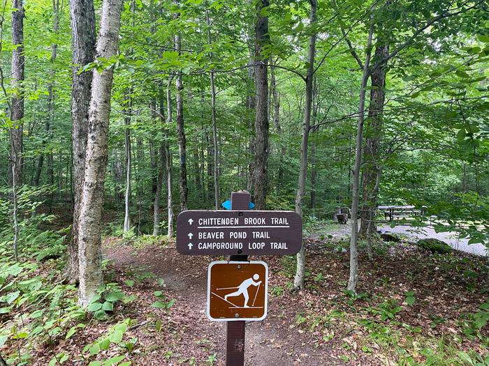 Hiking Trail located near Site 6