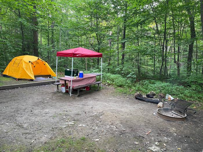 Campsite 9 tent padSite 9