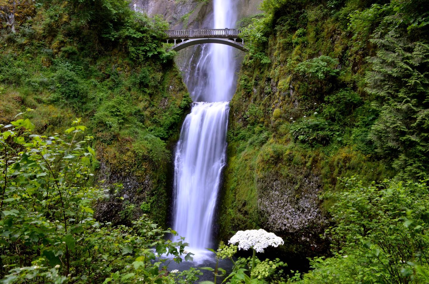 Multnomah Falls Timed Reservation Tickets, Columbia River