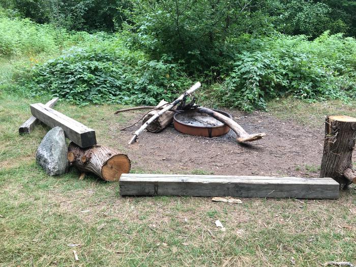 Campfire ring with log benches