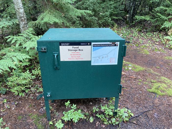 A bear proof storage container in the woods.