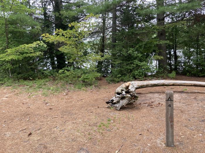 A rustic campsite in the woods next to a lake.