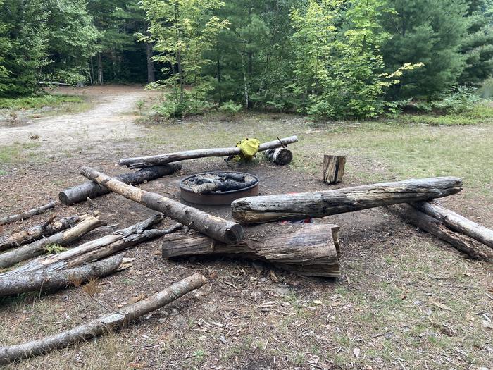 A metal fire ring in the woods surrounded by logs for seating.