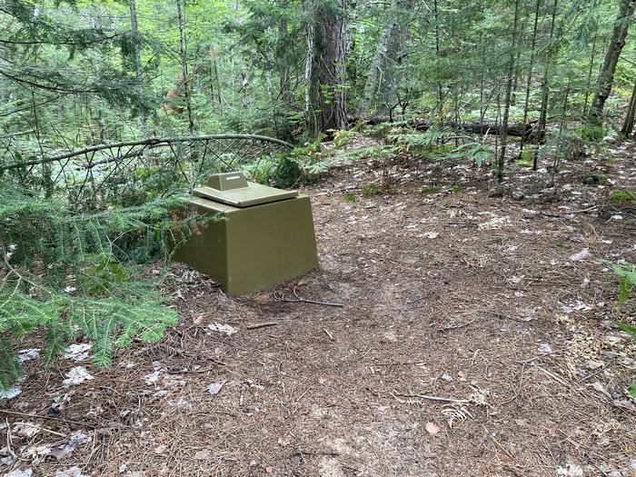 A pit toilet in the woods.