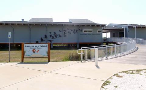 Assateague State Park