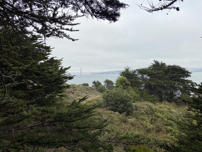 View of Golden Gate Bridge and San FranciscoView from Site 3
