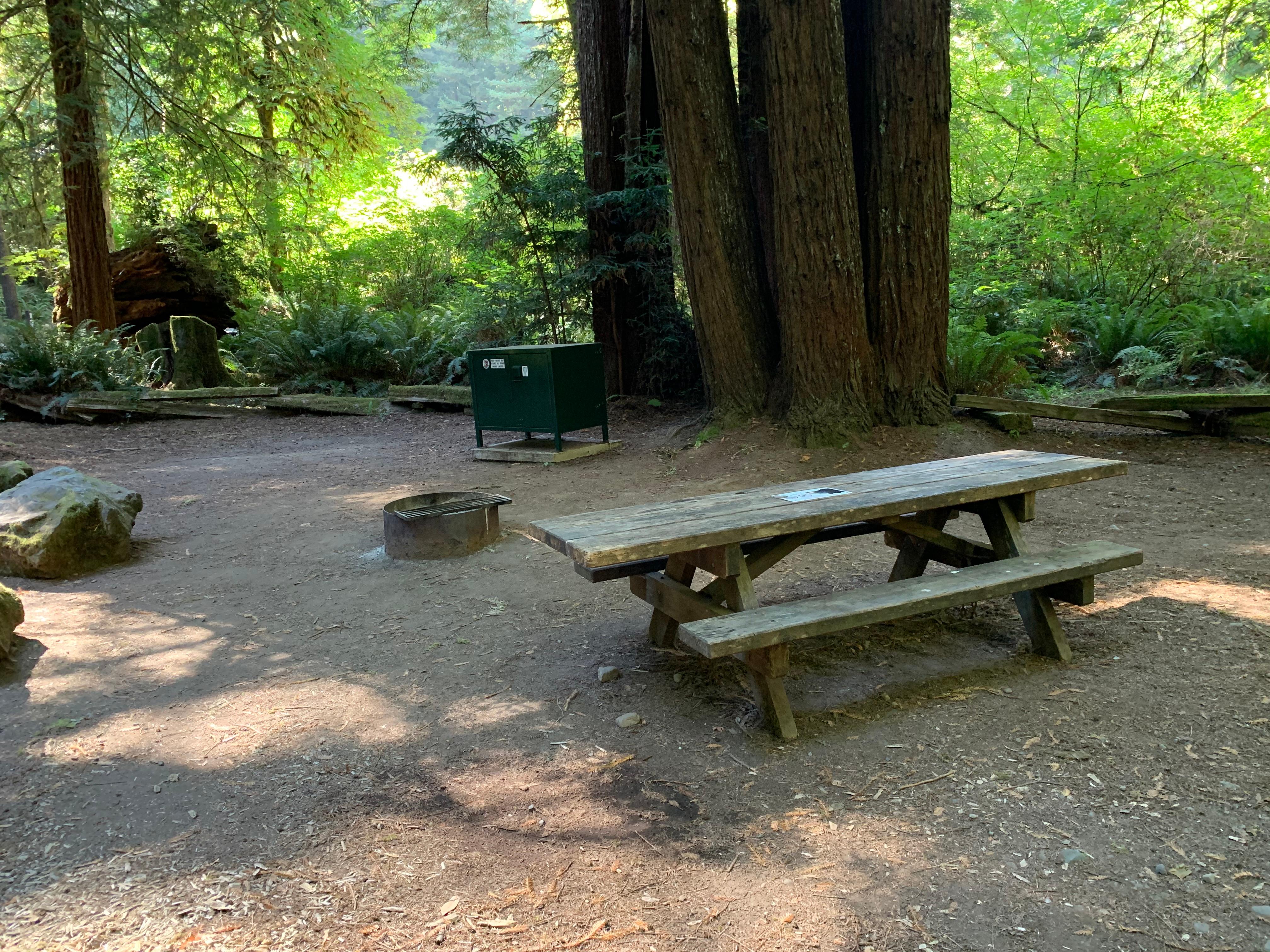 Mill Creek Campground - Del Norte Coast Redwoods State Park